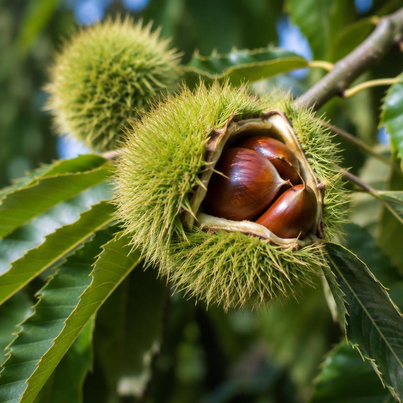 Chestnut growing in a garden (AI-generated illustration)