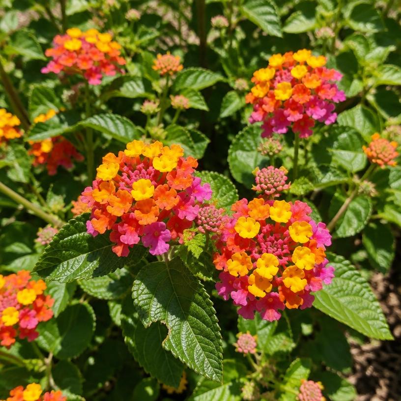Lantana growing in a garden (AI-generated illustration)
